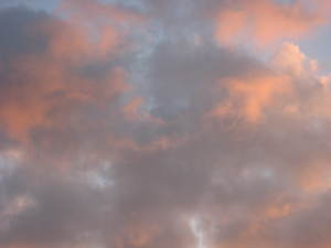 嵐の前のバラ色の雲