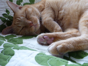 起こさないでね